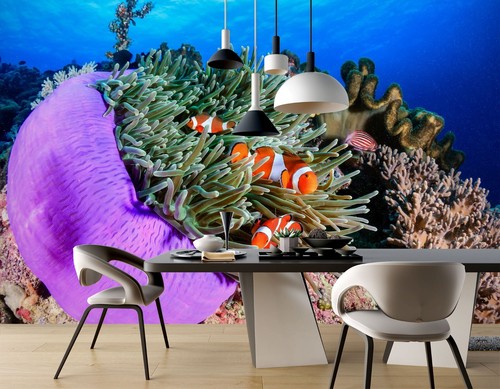 Koralle fisch q1813 tapete - koralle,