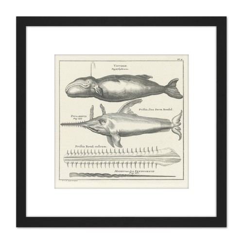 Spyck pottwal sägefisch natur - spyck,