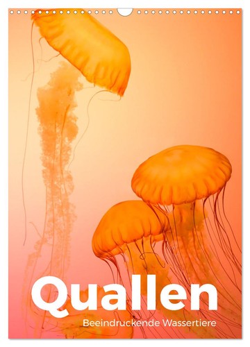 Quallen beeindruckende - quallen,