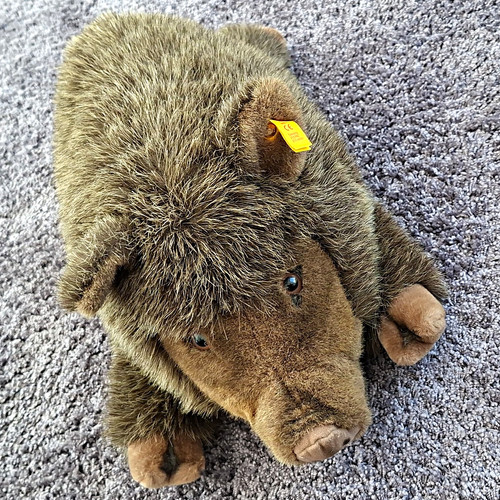 Steiff wildschwein stofftier - steiff,