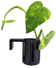 Pflanzen Aufhänger klein