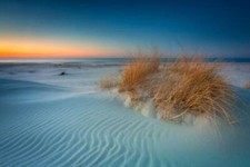 Wandbild: Wunderschöne