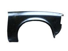 Kotflügel Beifahrerseite