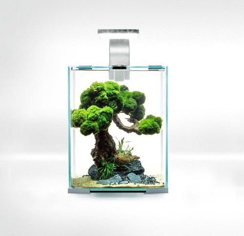Aquarium aquael shrimp set - aquarium,
