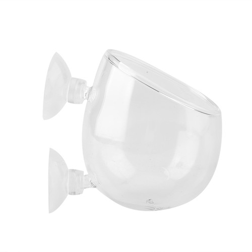Aquarium live plant cup - live,