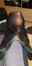 Springsattel waldhausen moll - springsattel,