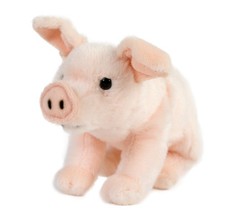 Kuscheltier schwein - kuscheltier,