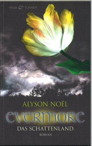 Evermore das schattenland - 3,