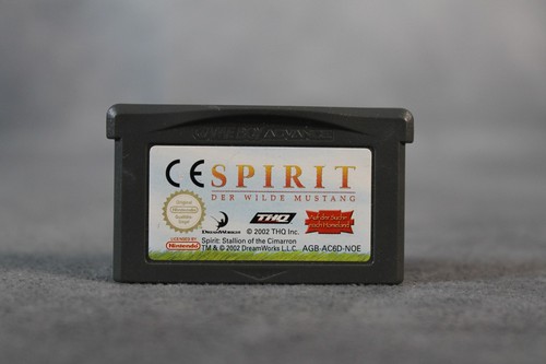 Spirit der wilde mustang - wilde,