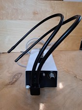 Kaltlichtquell Hund Wetzlar