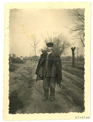 Orig foto portrait polnische - foto,