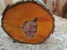 Pflaume Drechselholz 25×11 cm