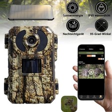 Wildkamera 1080P Jagdkamera