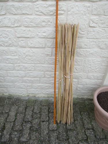 100 rankhilfe bund à - rankhilfe,