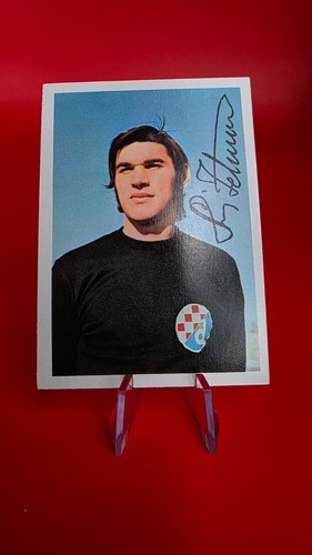 Zelimir stincic dinamo - zelimir,