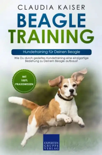 Beagle training - training, –