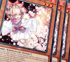 Karten für jedes deck yugioh - für,