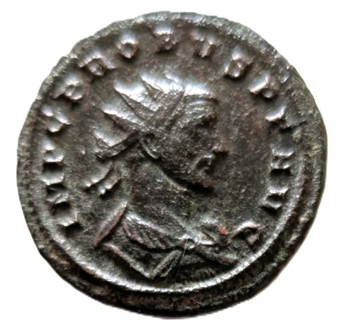 Probus antoninian - probus,