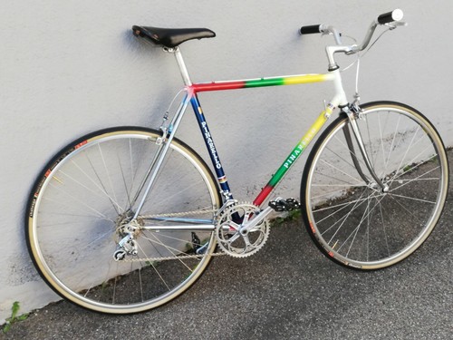 Pinarello treviso