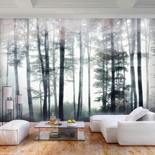 Wald nebel landschaft baum - nebel,