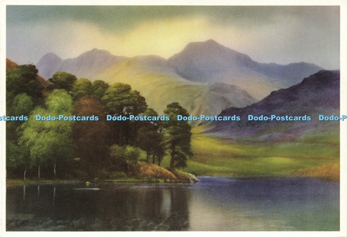 D176691 blea tarn - blea,