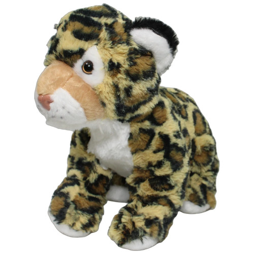 Nature planet leopard - nature,