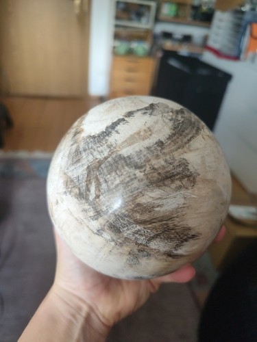 Xxl versteinertes holz - xxl,