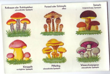 DDR Abziehbilder Schiebebilder