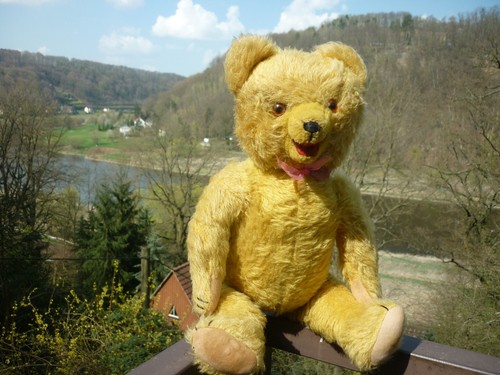 Alter schöner teddy - alter,