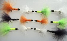 Fliegenfischen Fliegen Hund