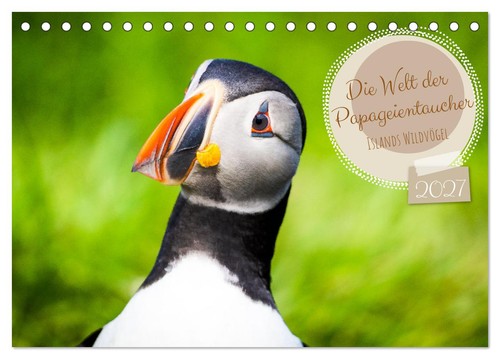 Die welt der papageientaucher - welt,
