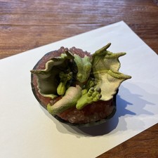 Baby Drache Nugur im Kristallnest Bayala Schleich 70419