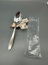 Deetjen Beseck versilbert