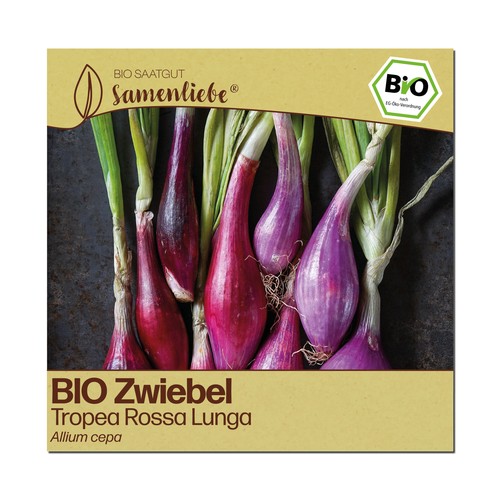 Bio zwiebel samen - zwiebel,
