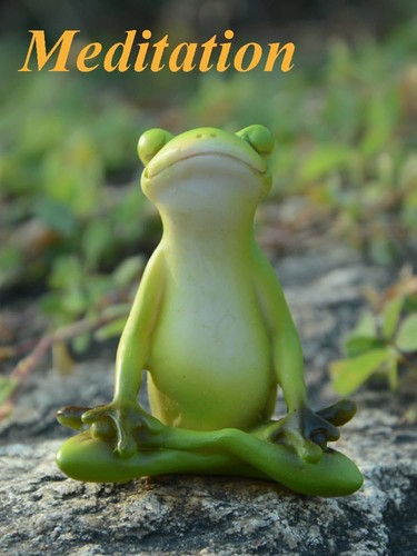 Miniatur feengarten frosch - miniatur,
