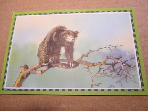 Bild chlorodont serie - 1,
