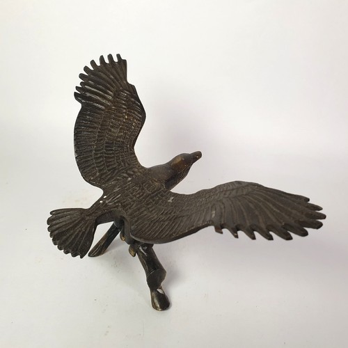 Ein adler auf einem - adler,