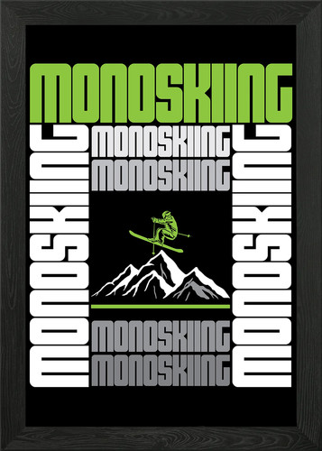 Monoski funny mono ski - funny,