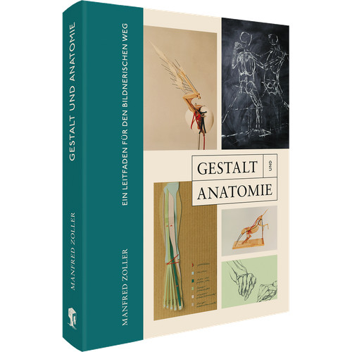 Gestalt und anatomie ein - gestalt,