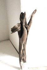 Schwemmholz Treibholz