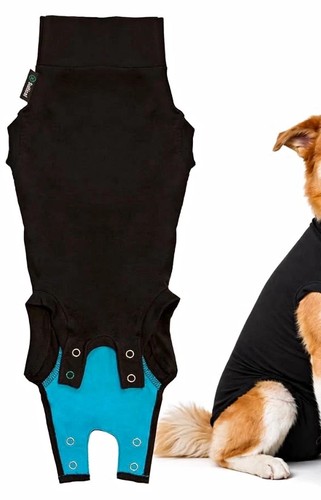 Hunde body unisex - hunde-body, in