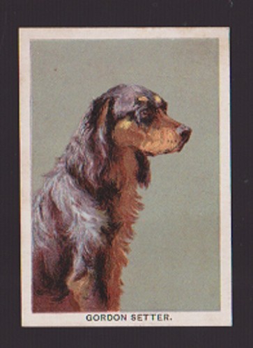 Walker harrison garthwaites - &,