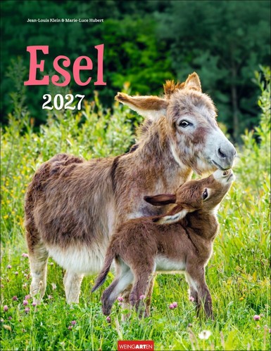 Esel kalender 2027 - kalender,