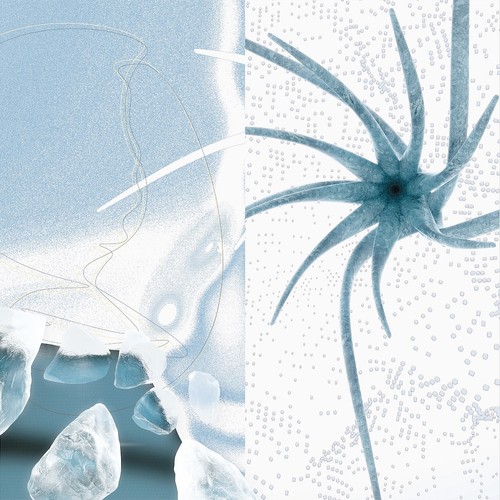 Mind over midi arctic beats - over,