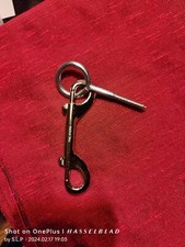 Doppelkarabiner,verchromt mit Edelstahl Ringschraube, Stallbedarf, Anbinder
