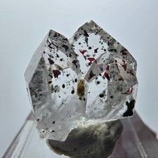 Enhydro Harlekin Phantom