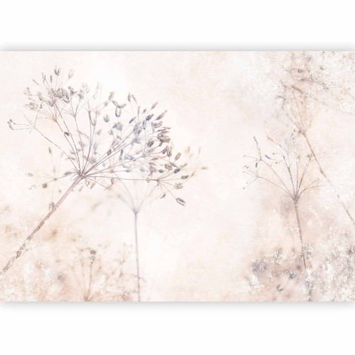 Wiese natur vlies - natur,