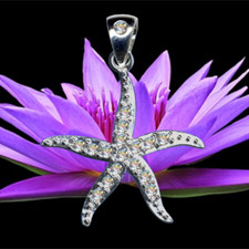 NEU Attraktiver Seestern Anhänger Echt 925 Sterling Silber Zirkonia Kristalle