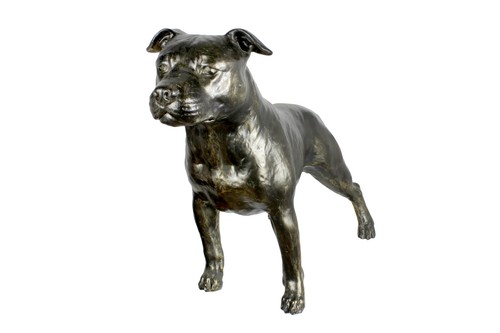Staffordshire bull terrier - staffordshire, ii