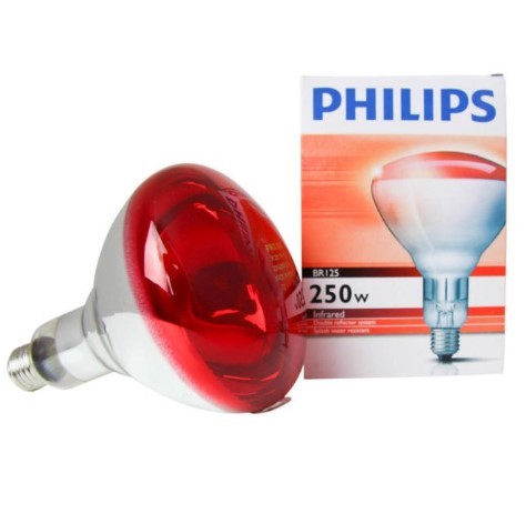 Philips lampadina 250w - philips,